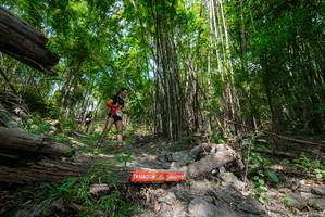 BIB: 
                            <button type="button" onclick="openModal(19393828)" class="btn btn-primary btn-sm float-right btn-popup" data-toggle="modal" data-target=".modal-high-quality">
                        <i class="fas fa-shopping-cart"></i> Add to Cart
                    </button>
                                            <button type="button" onclick="isThisMe(19393828, true)" class="btn btn-success btn-sm float-right btn-popup btn-isme hidden" data-toggle="tooltip" data-placement="bottom" title="นี่คือรูปของคุณใช่ไหม คลิกที่นี่เพื่อเอาเข้าอัลบั้ม">
                        <i class="fas fa-plus"></i> Add to album
                    </button>
                    <button type="button" onclick="isThisMe(19393828, false)" class="btn btn-warning btn-sm float-right btn-popup btn-isnotme hidden">
                        <i class="fas fa-ban"></i> Remove from album
                    </button>